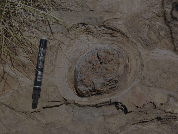 Image 3 pour Des roches anciennes pour reconstituer l’histoire de la Terre ? : <p>Il s'agit de roches laminées formées par l'activité des communautés de microorganismes. Les stromatolites de Tumbiana sont parmi les plus vieilles traces de vie sur Terre.</p><h6>©P. Lopez-Garcia</h6>