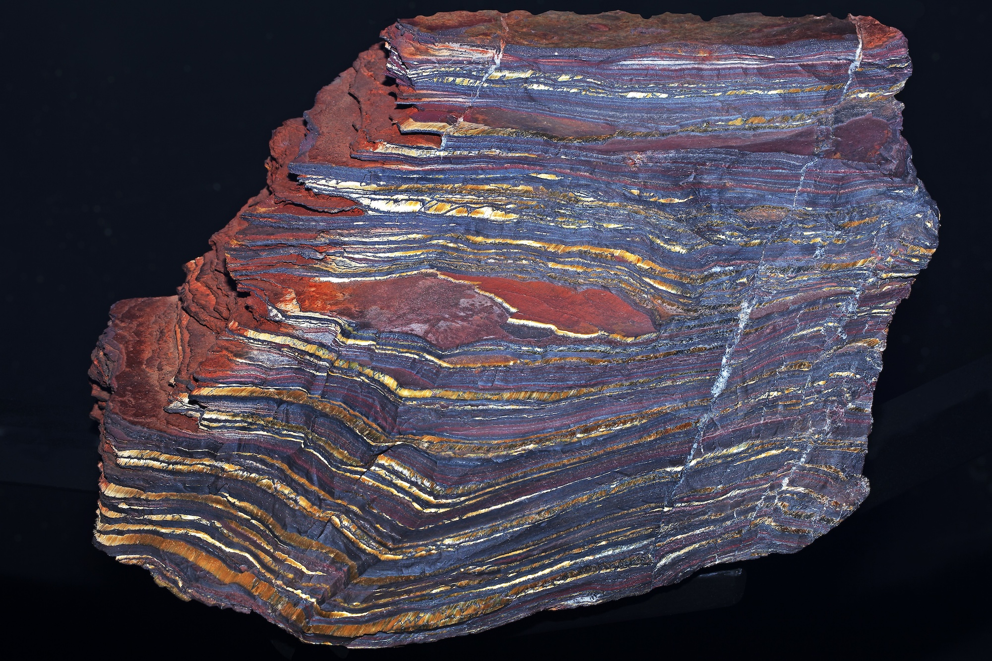 Image 2 pour Enfin de l'oxygène à respirer ! : <h6>© Science Photo LibraryFox, Dirk</h6>