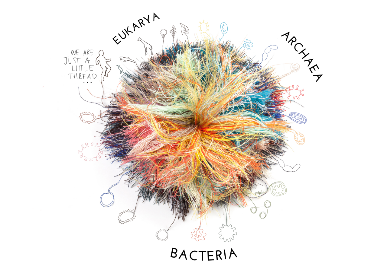 Image 1 pour Our common ancestor appears on Earth! : <h6>©Threads of life © 2023 by Giulia Ghisleni is licensed under CC BY-NC-SA 4.0</h6>